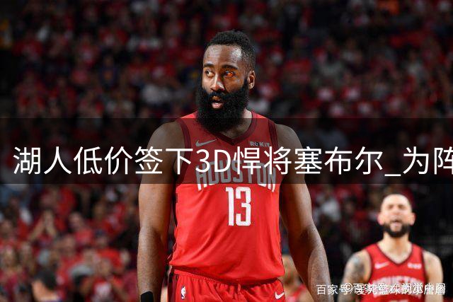 湖人低价签下3D悍将塞布尔 为阵容添防守利器