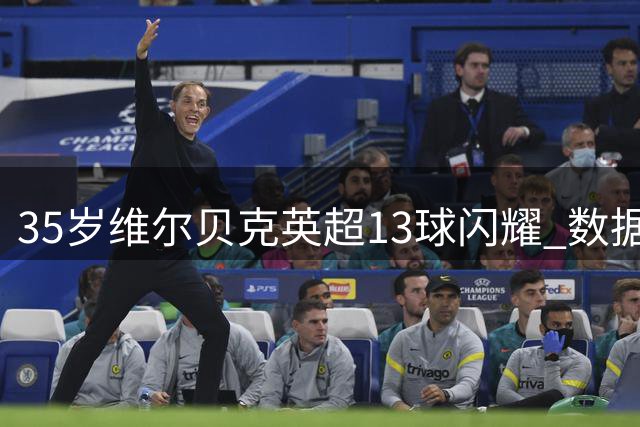 35岁维尔贝克英超13球闪耀 数据碾压切尔西众攻击手